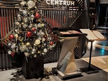 Christmas tree outside Centrum restaurant