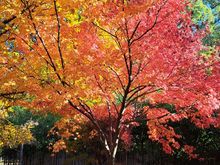 Lots of beautiful colours  around this area of the park