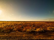 Arizona Desert