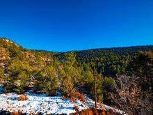Afternoon sun casting a beautiful light on the landscape of the Carson National Forest. 