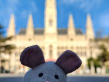 Putting the "rat" in das Wiener Rathaus!