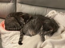 Two can play at that game!!  😉