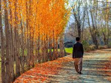 My Post Pictures