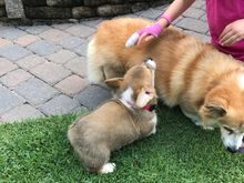 When Dylan was little. And Helen