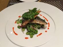 Mackerel