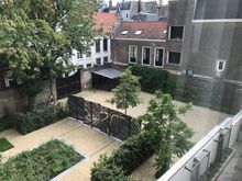 South facing view into the neighbooring garden