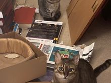 Like mother, like daughter. “Hand over the treats and nobody gets hurt.”