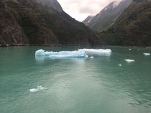 Icebergs blue! Tracy Arms
