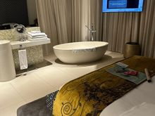 View of bath & vanity - Marvelous Suite