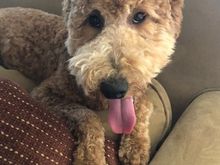 Poppy thanks everyone for the compliments!