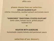 I had the meze, aubergine and lamb and pistachio ice cream with a glass of Taittinger Brut Reserve 