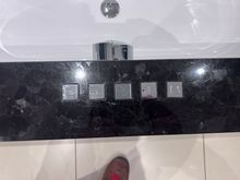 Both the shower and bathtub have these electronic controls. The bathtub is otherwise a normal tub (no jacuzzi function)