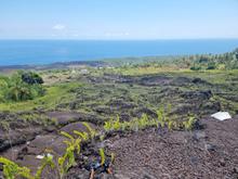damage caused by the volcanic eruption