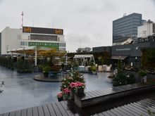 Rooftop Garden on a damp November 2019 morning