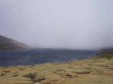 Whiteout on the lake