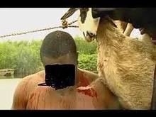 I want to join occult for money ritual +2349028448088.    +2349028448088 OFTEN MANY HAS VENTURED INTO SPIRITUAL MEANS OF ACQUIRING LUXURY BUT ONLY FEW GET TO THE PEAK WHEN IT COMES TO SPIRITUAL WEALTH & LUXURY NOT BECAUSE THEY ARE SPIRITUALLY INFECTED OR UNWORHTY BUT IT'S ON CLEARER VIEW TO THE HUMAN WORLD NOW TO ACTUALLY KNOW THAT IT TAKES A GREAT SACRIFICE AND OFFERING TO PIERCE THE HEART OF THE SPIRITUAL WORLD IN ORDER TO MAKE A RFEQUEST NOT JUST TO MAKE A REQUEST BUT TO GET ANSWERS.