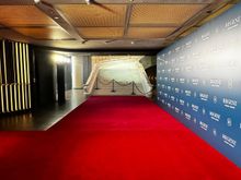 Red carpet to cascade stair 