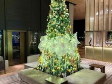 Christmas tree at the RC