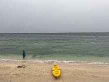 Here be sharks. apparently