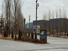 botanical garden below