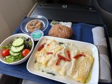 Rigatoni (more like Alfredo Cannelloni w/ sun-dried tomatoes) w/ fresh salad, roll and chocolate chip cookie