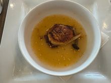 Scallop