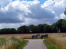 There were a number of stables around 