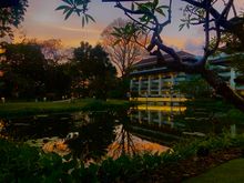 View from the Spa cafe