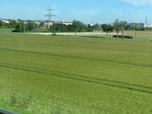 The outskirts of Mannheim, near Sandhofen
