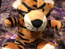 Conrad Pune Tiger
