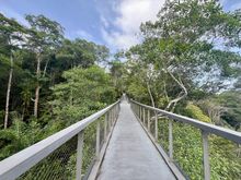 The ‘Habitat’ jungle walk-way