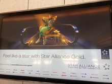 Goldmember, don't mind if i do enjoy ..... it was possible for me and my son to enter the club because 
