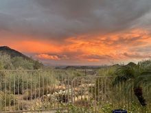 This evening, after the rain