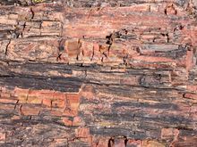 Close up. It looks like wood, but it’s rock. My inner nerd was completely fascinated by this place 