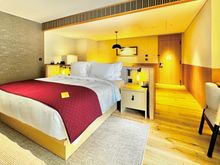 Living/Bedroom