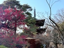 Another gorgeous day in Tokyo.