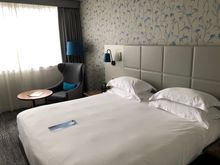King Executive Room