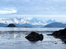 Glacier Bay National Park and Preserve (as seen from Elfin Cove)