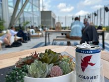 Enjoying the new Chase Sapphire Terrace that
 just opened in Austin’s airport. 