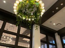 cafe fig chandelier