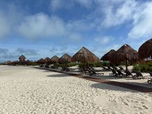 Beach area and back row of loungers 