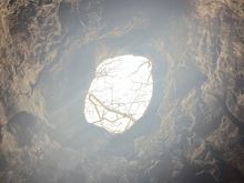Looking upwards in a hollow sacred tree
