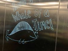 inside the elevator there's messages to entertain