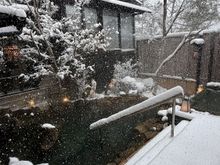 Winter wonderland 