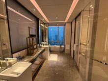 Bathtub next to the window (East / Shenzhen Bay). 