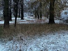 Walking to the office