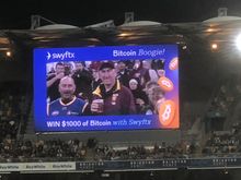 BundyBear at the Gabba