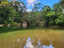 Babinda