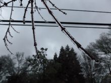 More ice