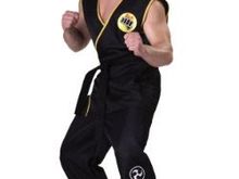 Cobra Kai